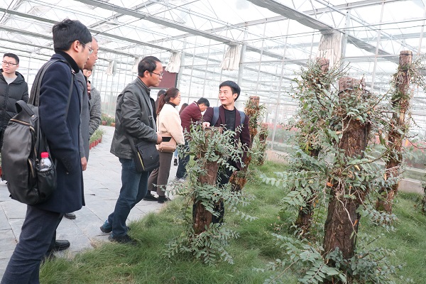 培训班参观麻将胡了临浦基地