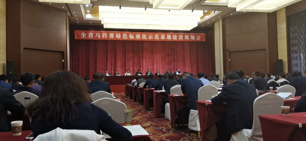 数字利用保险尺度化种植，，，，，麻将胡了助力甘肃马铃薯产业化之路