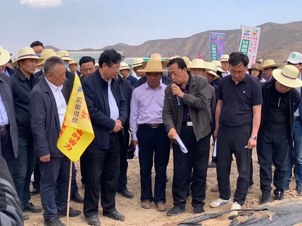甘肃省农业村落厅厅长李旺泽等辅导一行来到安谧区马铃薯尺度化种植基地