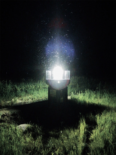 科技斥候，，，，，，，，夜灯长明