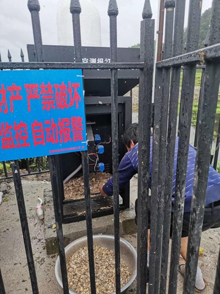 机械诱捕烘干后的虫体（部门）