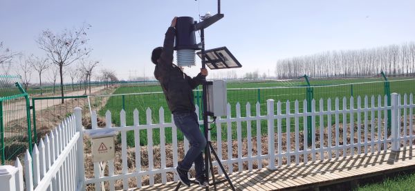 植？？？？？？蒲布旆务