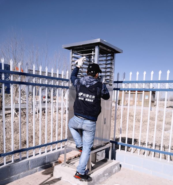 植？？？？？？蒲布旆务