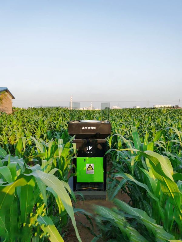 麻将胡了高空测报灯
