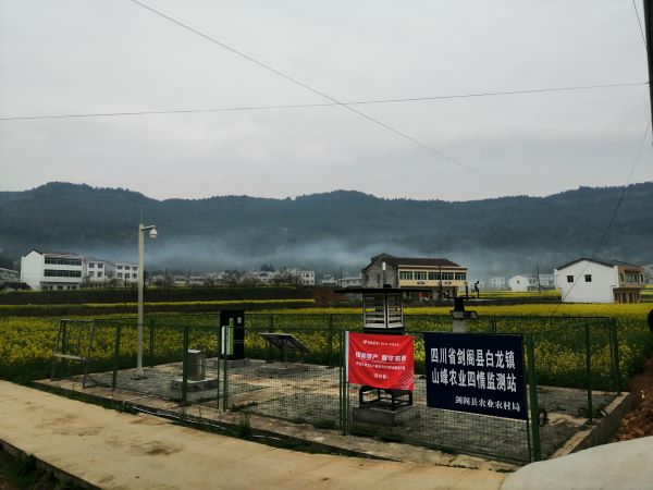 麻将胡了病虫害监测点