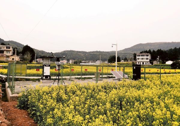 麻将胡了病虫害监测点