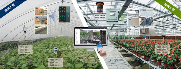 麻将胡了设施农业创新利用基地