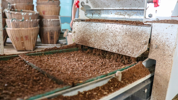 麻将胡了打造的古林育秧工厂