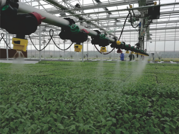 麻将胡了打造的萧山农科所现代农业示范基地