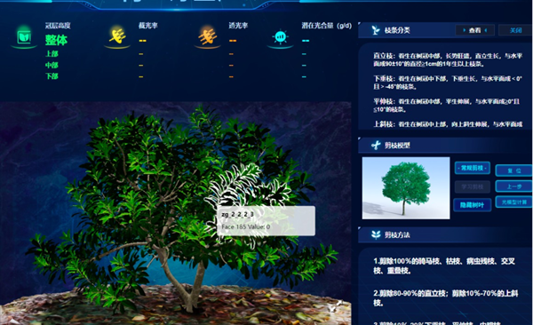 “云”上种颗杨梅树，，，，，，，，田舍照着养杨梅