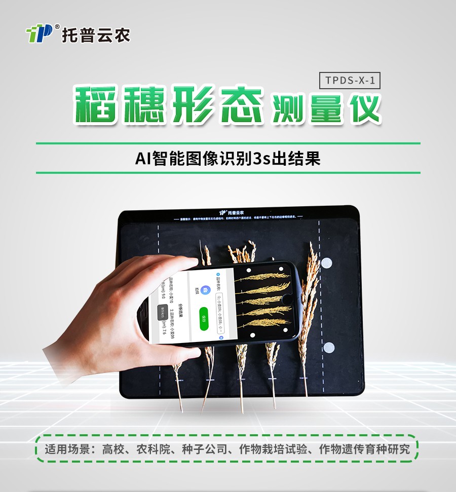 稻穗状态丈量仪