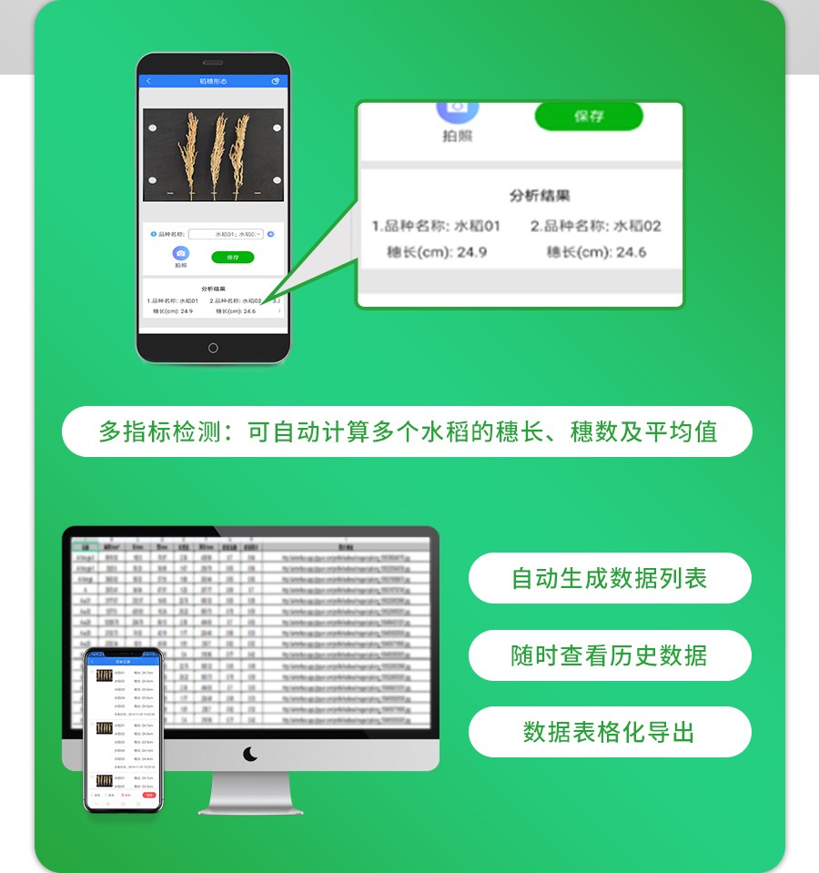 稻穗状态丈量仪