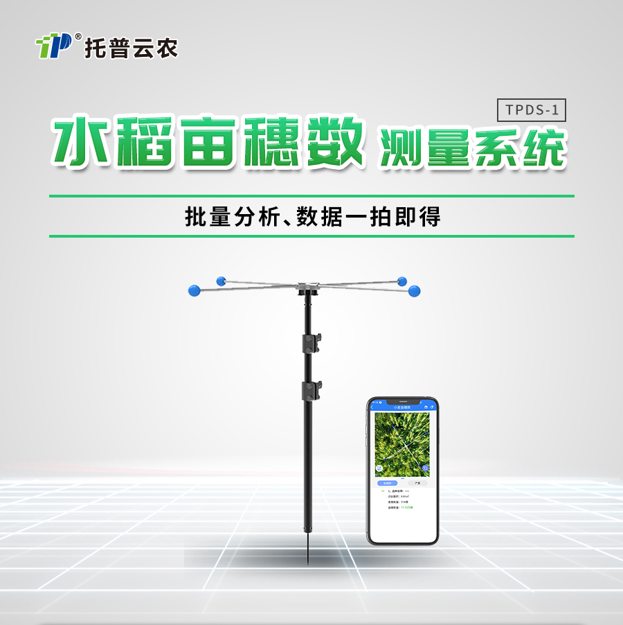 水稻亩穗数丈量系统