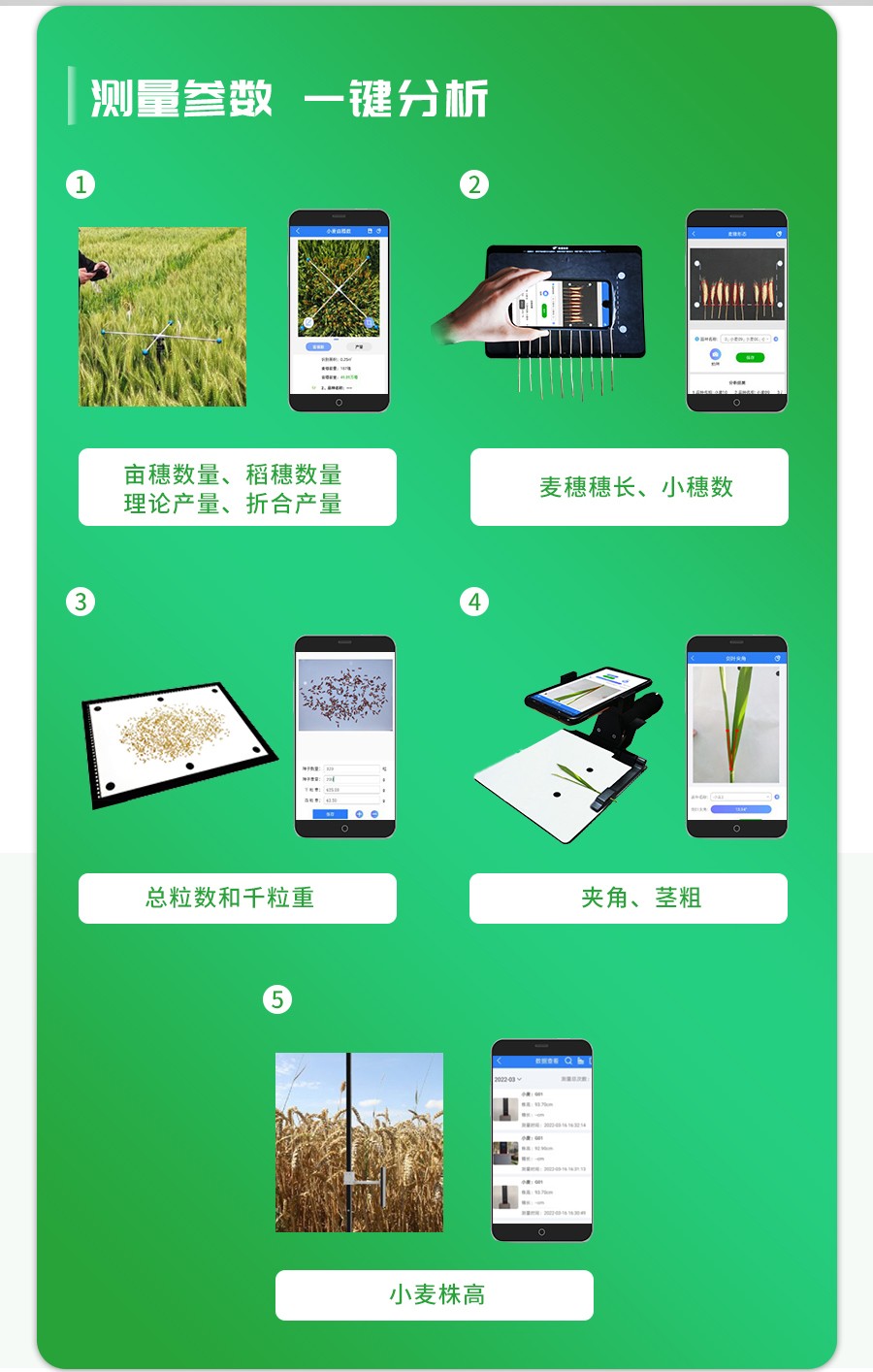 幼麦表型检测仪