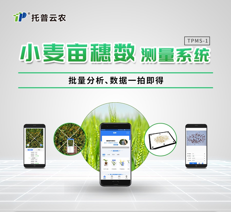 幼麦亩穗数丈量仪