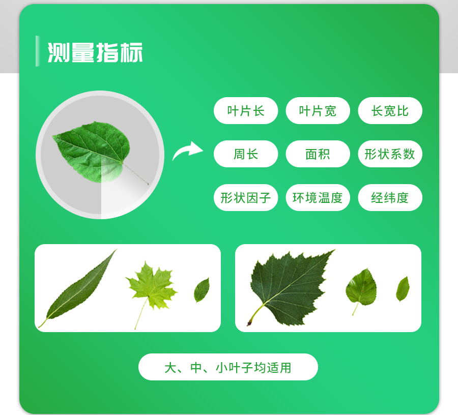 活体壹积丈量仪