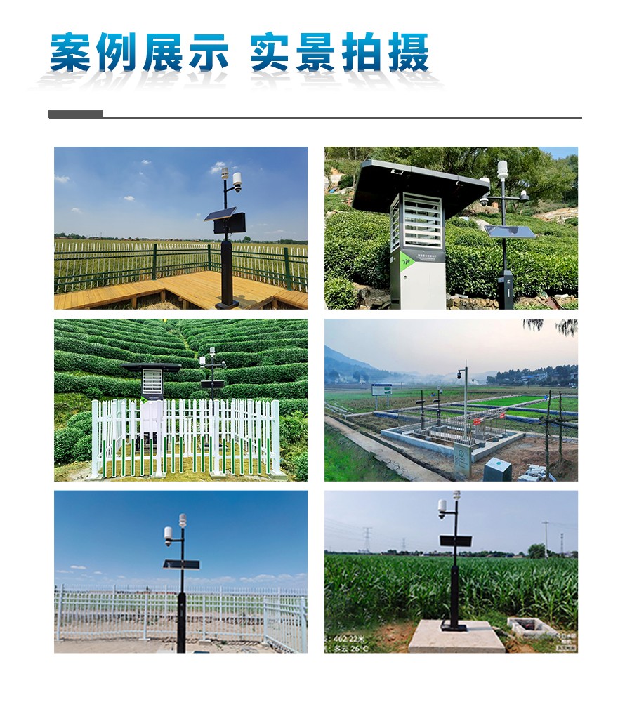 幼型自动形象站