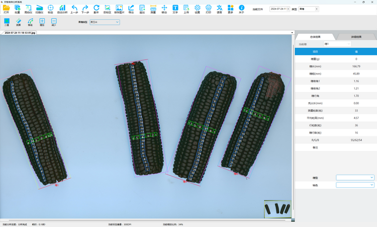5. 黑玉米果穗测定.png