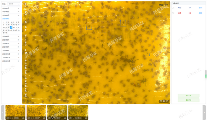 智能鉴别 自动计数.png