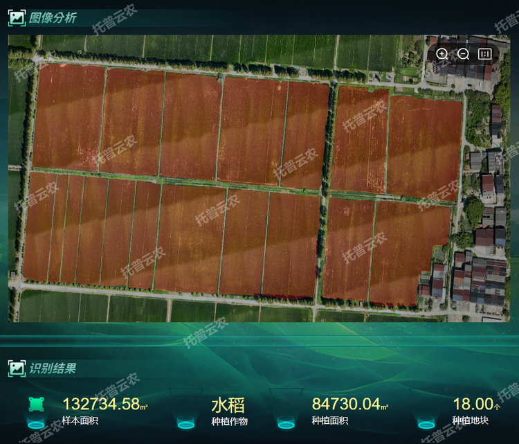 种植面积.png